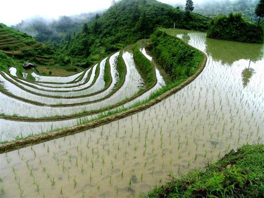 南宁出发：桂林、漓江、龙胜三天二晚游